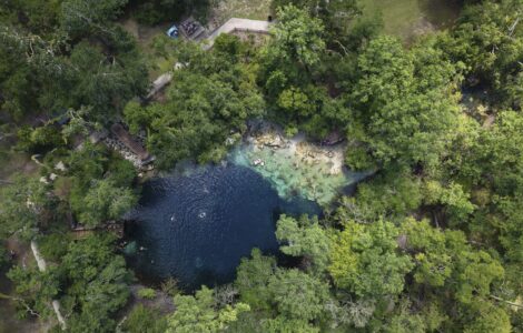 Florida's once-pristine springs threatened by pollution, development and climate change